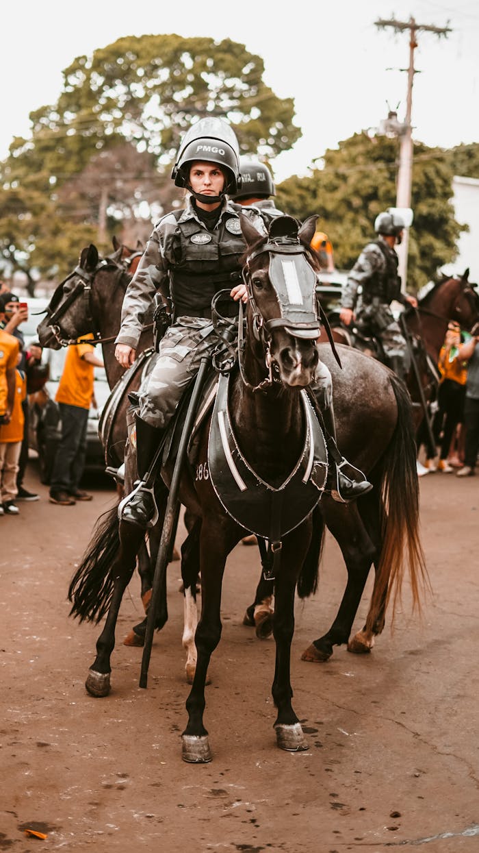 Mounted police officers in uniform on black horses during a street event.